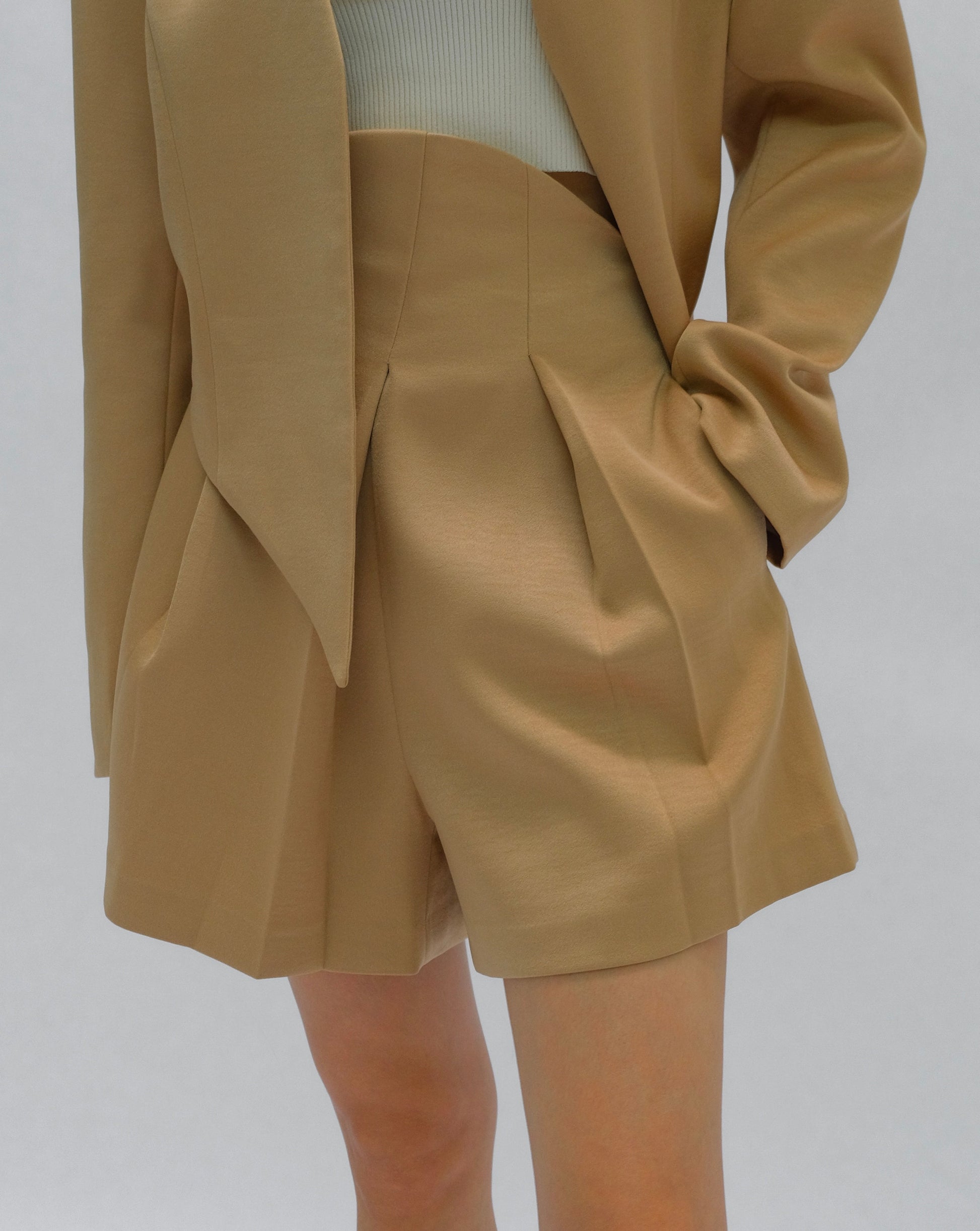 Pleated Curve Shorts