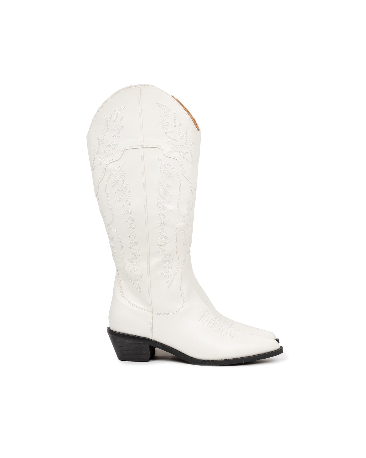 Cowboy Boots