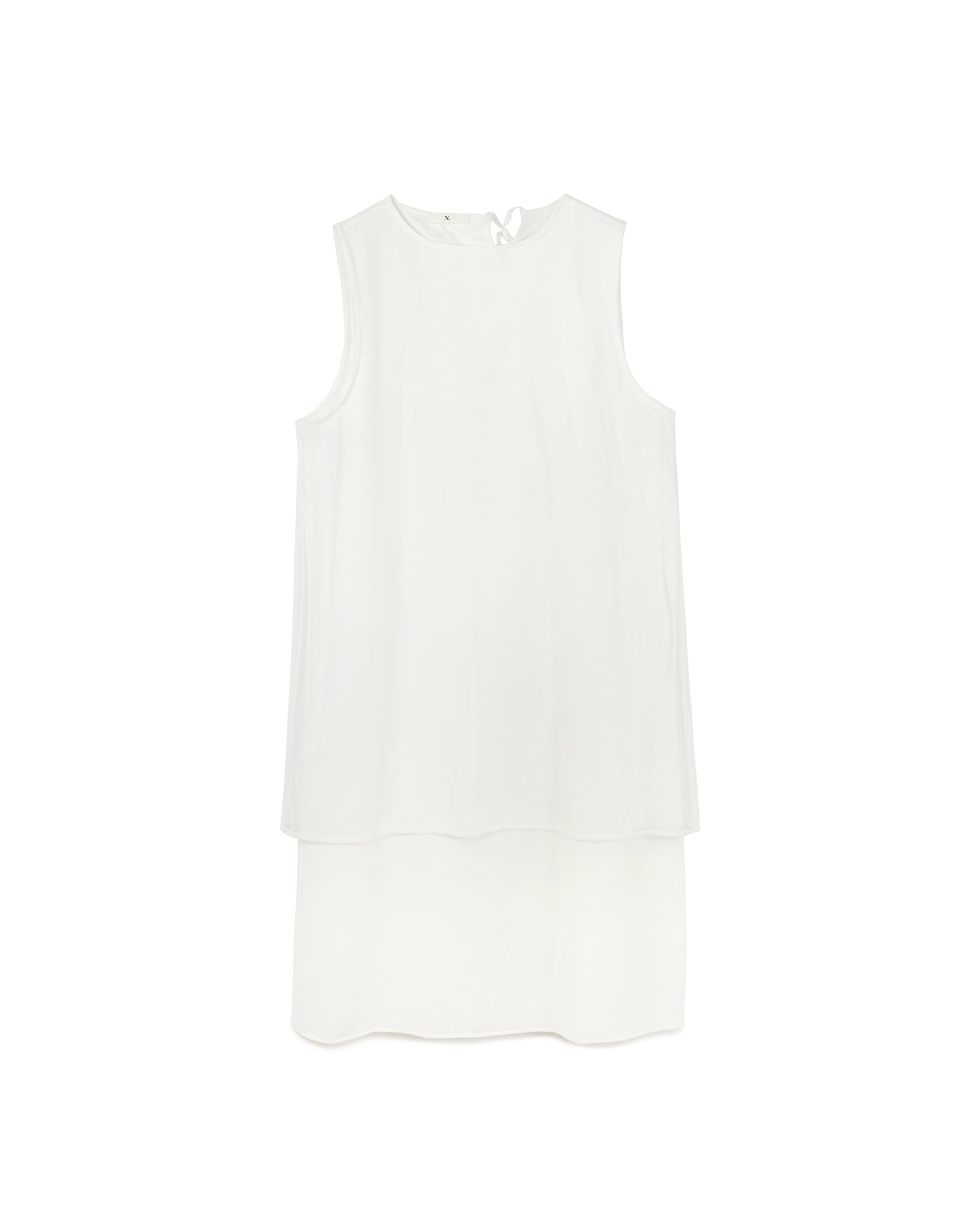 Mesh Layered Dress