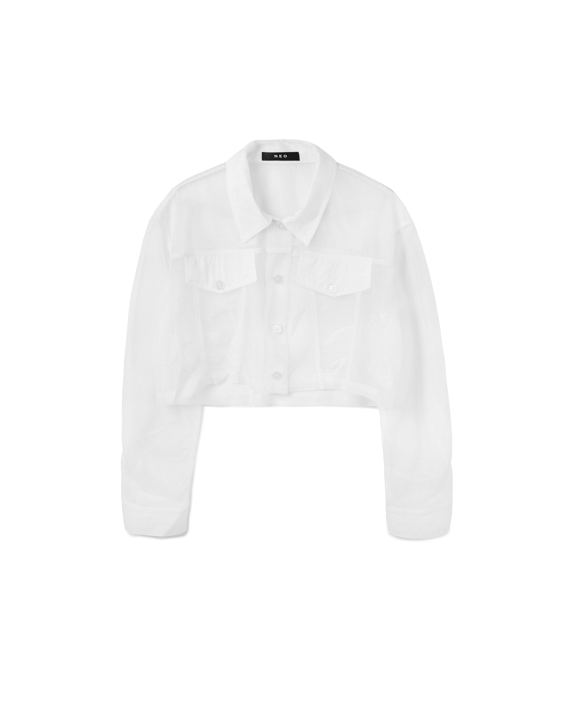 Sheer Chiffon Shirt