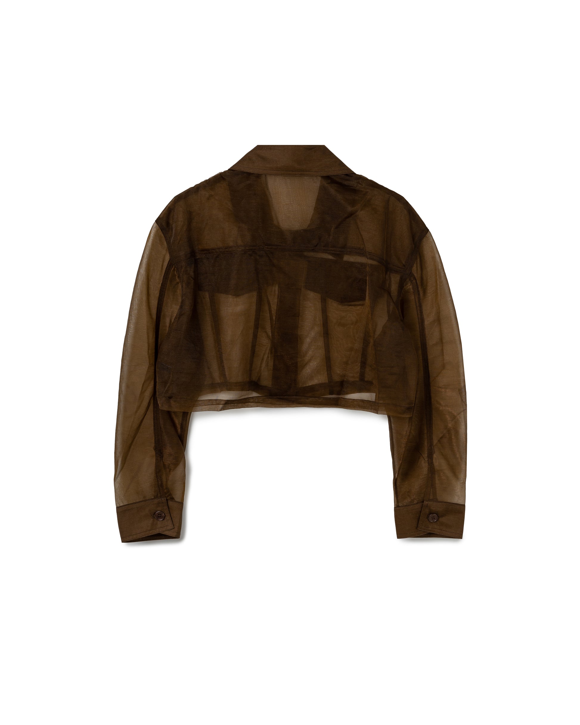 Sheer Chiffon Shirt