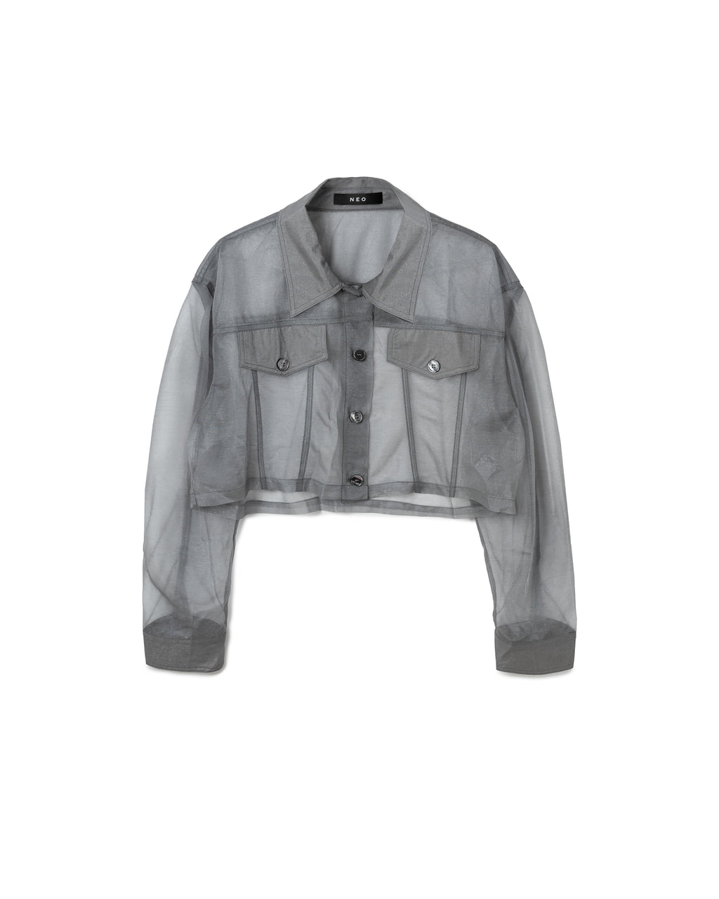 Sheer Chiffon Shirt