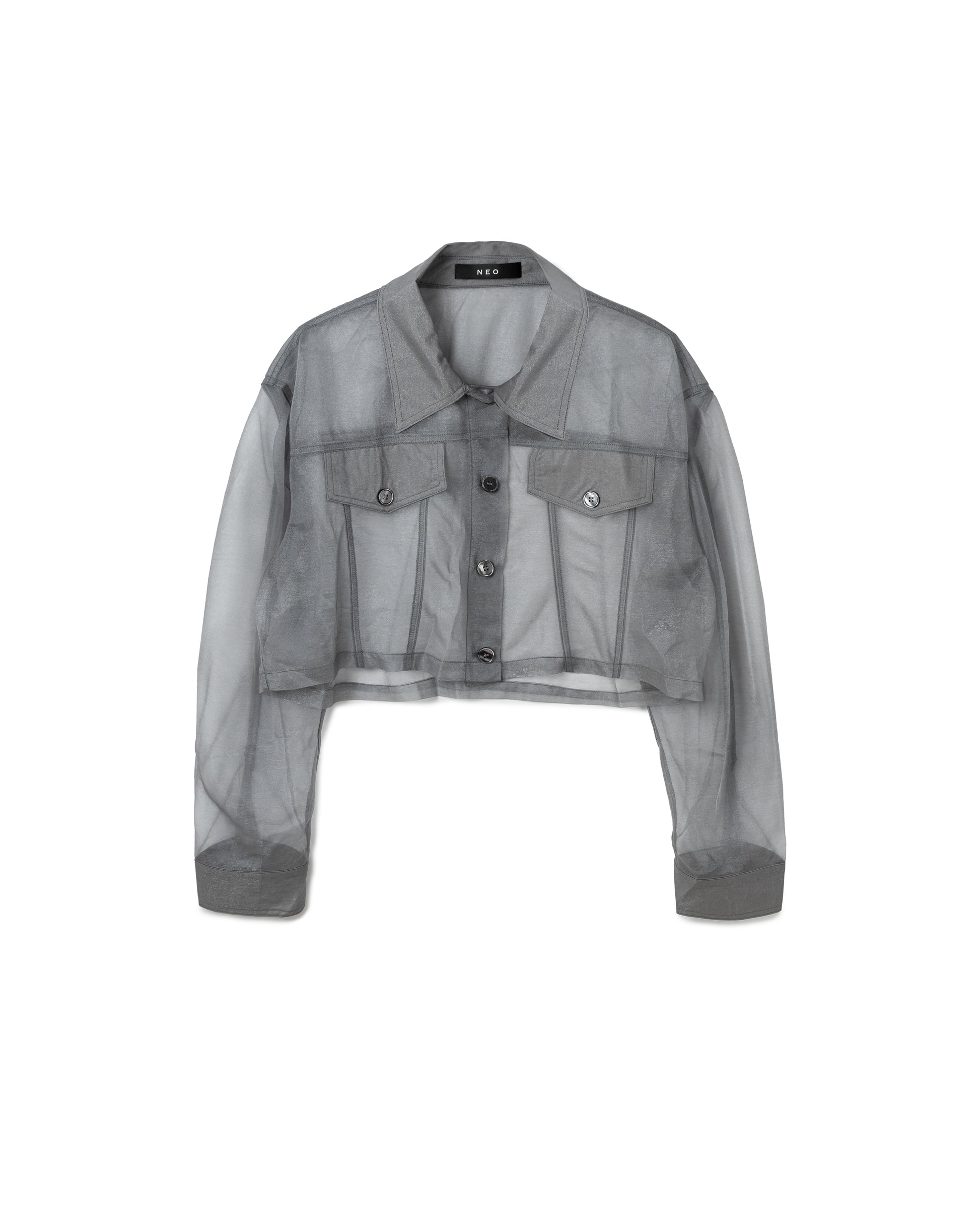 Sheer Chiffon Shirt