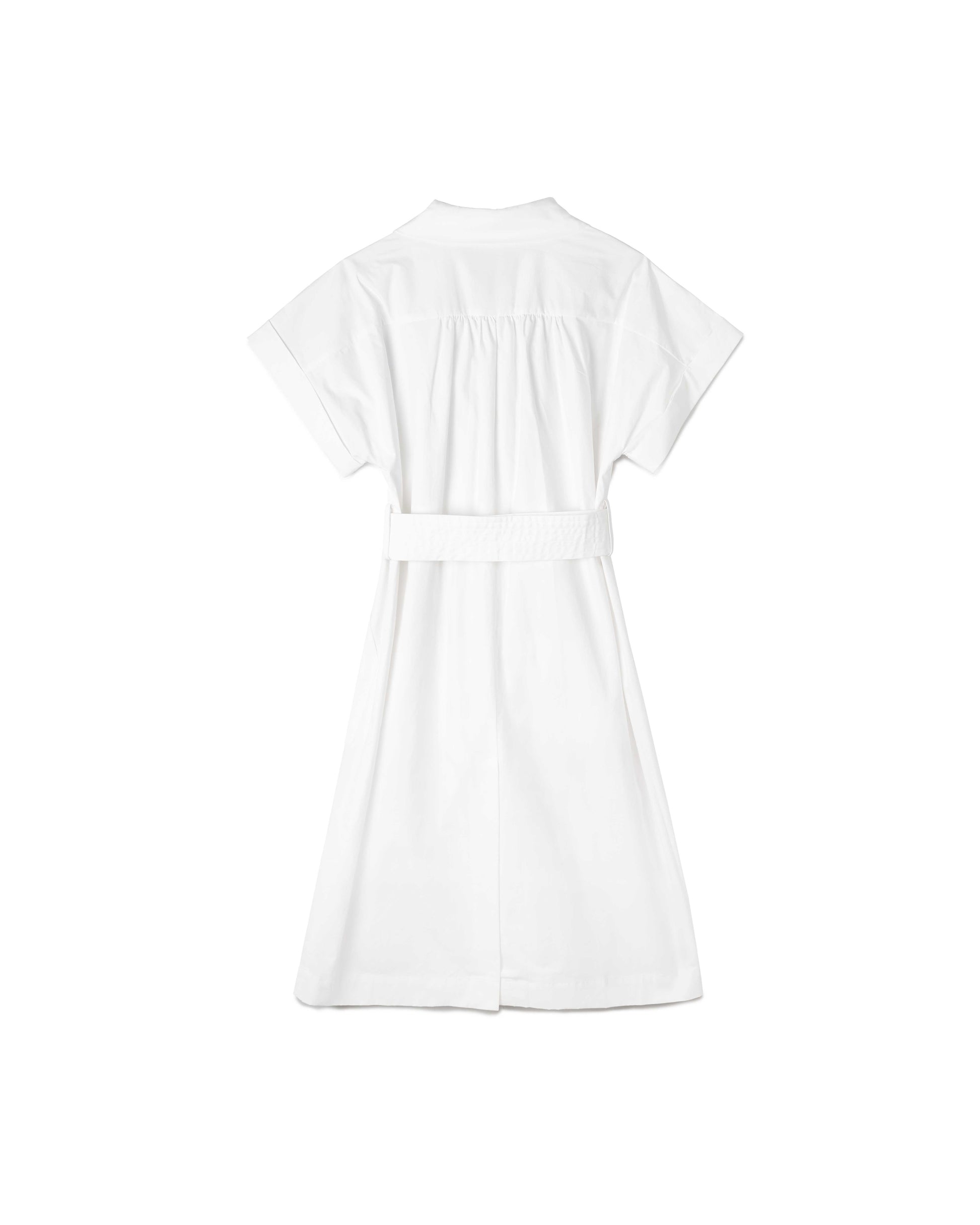 Belted Shirt Dress